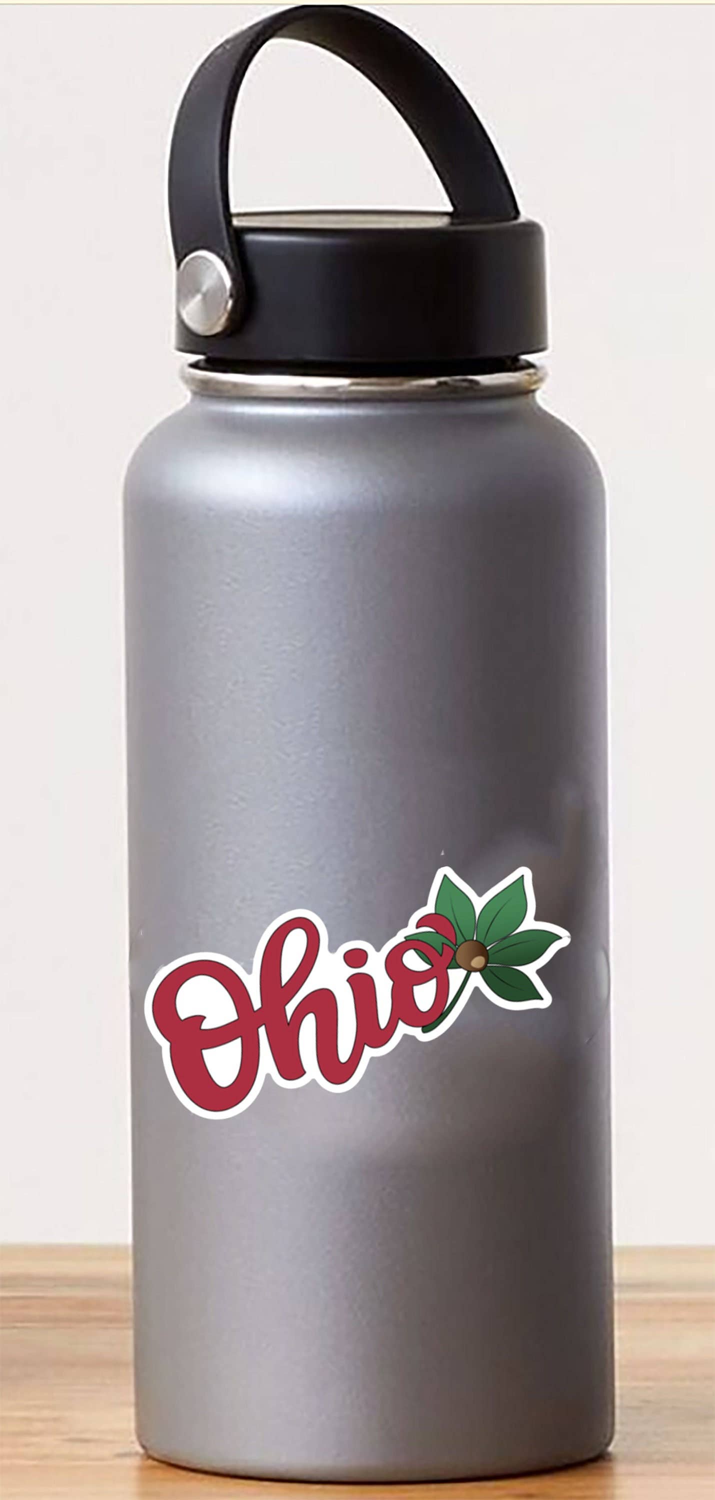 Ohio Script With Buckeye Leaf Sticker