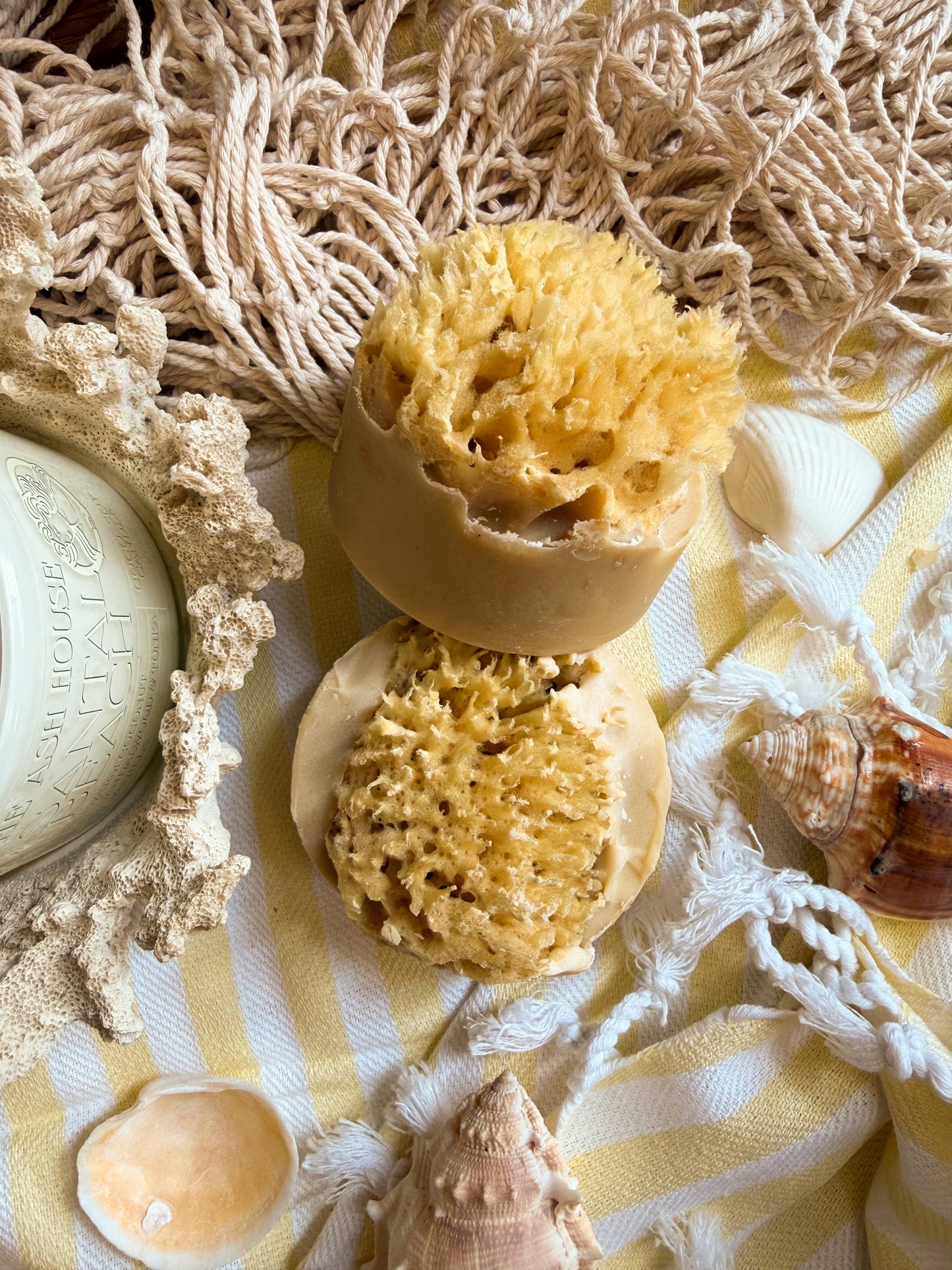 Santal Beach Coconut Milk Sea Sponge Soap