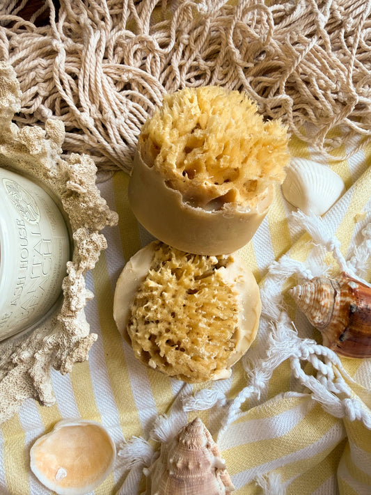 Santal Beach Coconut Milk Sea Sponge Soap